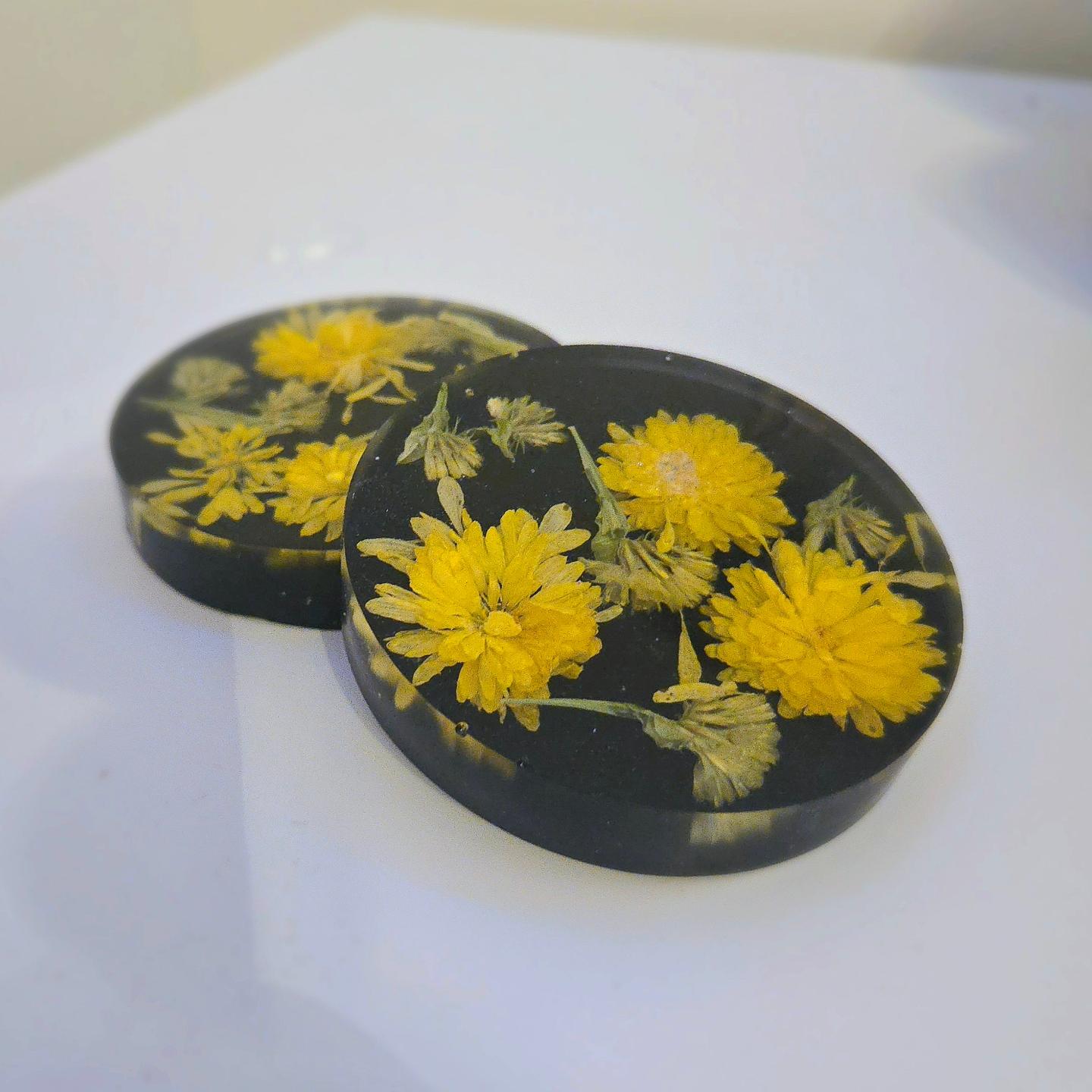 Bloom & Sip Coasters