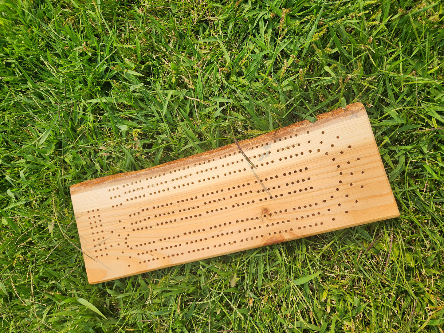 Live Edge Cribbage Board