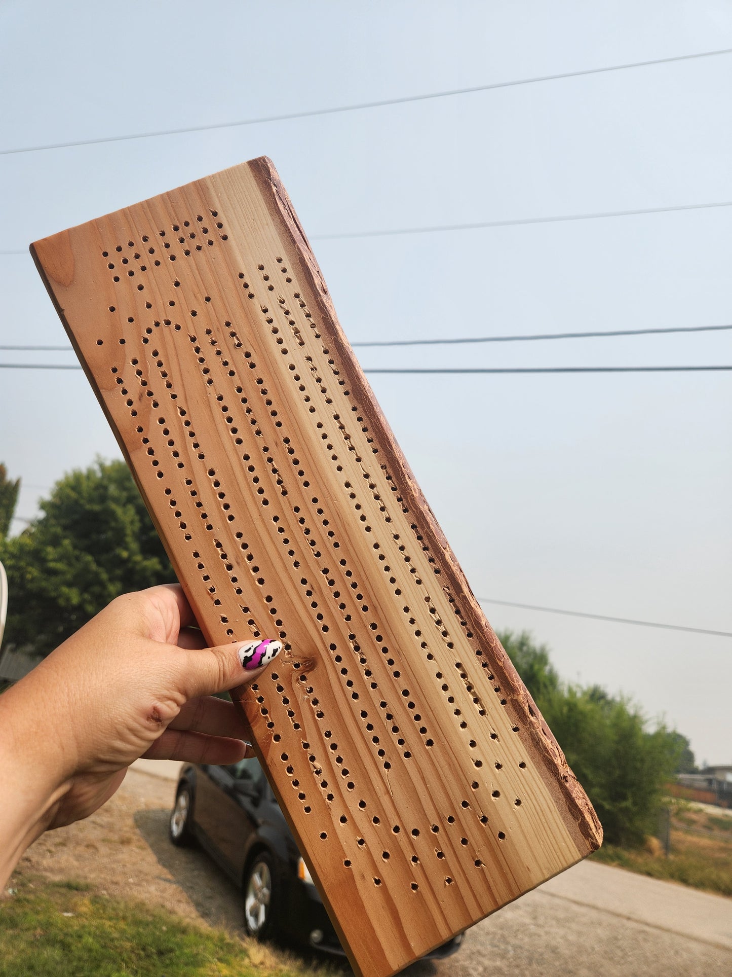 Live Edge Cribbage Board